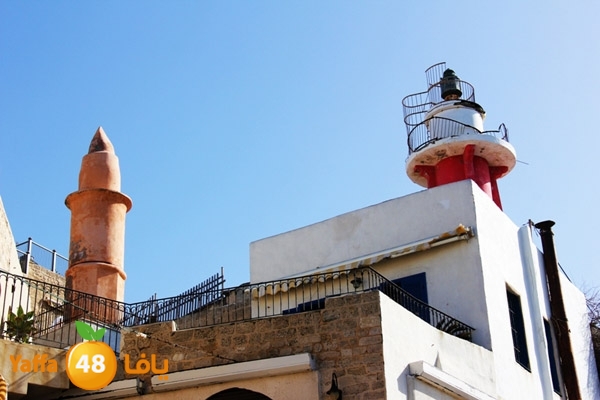 mina2 yaffaj343 (3).JPG